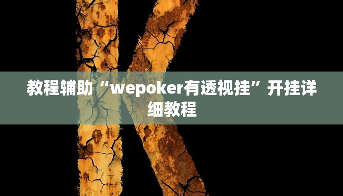 教程辅助“wepoker有透视挂”开挂详细教程