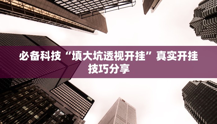 必备科技“填大坑透视开挂”真实开挂技巧分享