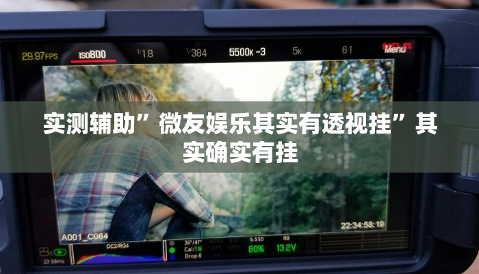 实测辅助”微友娱乐其实有透视挂”其实确实有挂