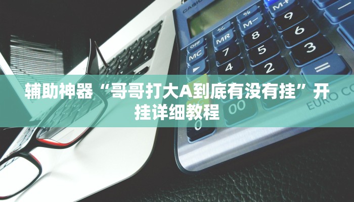 辅助神器“哥哥打大A到底有没有挂”开挂详细教程