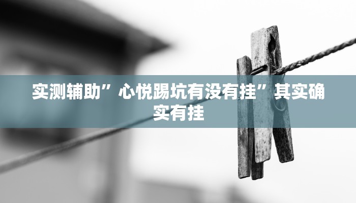 实测辅助”心悦踢坑有没有挂”其实确实有挂