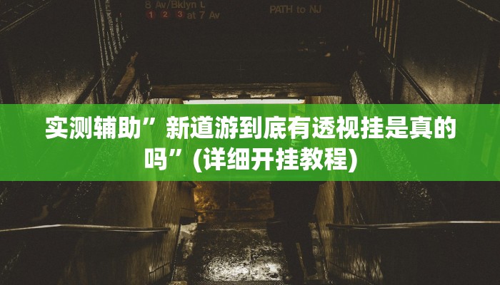 实测辅助”新道游到底有透视挂是真的吗”(详细开挂教程)