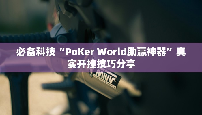 必备科技“PoKer World助赢神器”真实开挂技巧分享