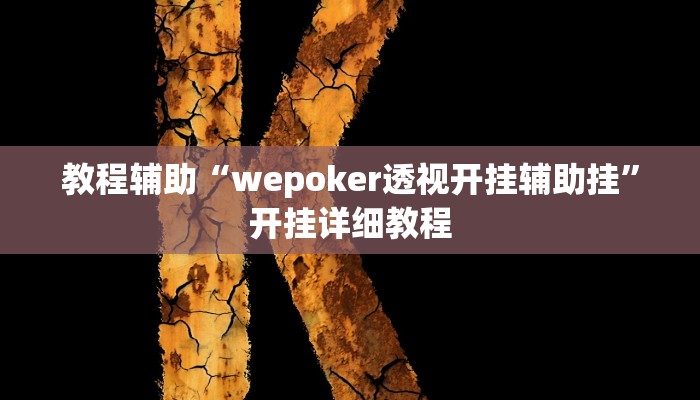 教程辅助“wepoker透视开挂辅助挂”开挂详细教程