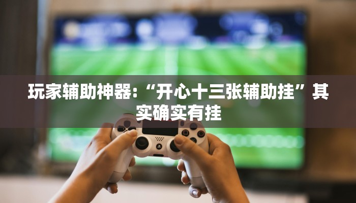 玩家辅助神器:“开心十三张辅助挂”其实确实有挂