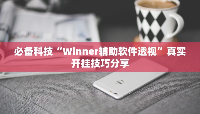 必备科技“Winner辅助软件透视”真实开挂技巧分享