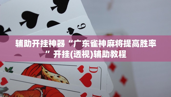 辅助开挂神器“广东雀神麻将提高胜率”开挂(透视)辅助教程