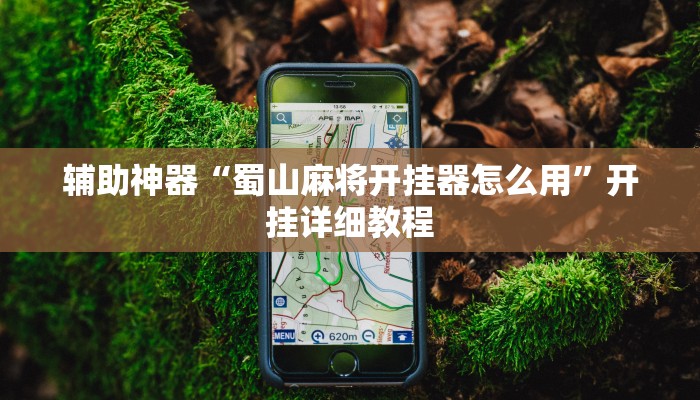 辅助神器“蜀山麻将开挂器怎么用”开挂详细教程