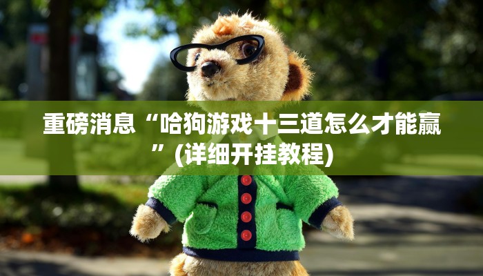 重磅消息“哈狗游戏十三道怎么才能赢”(详细开挂教程)