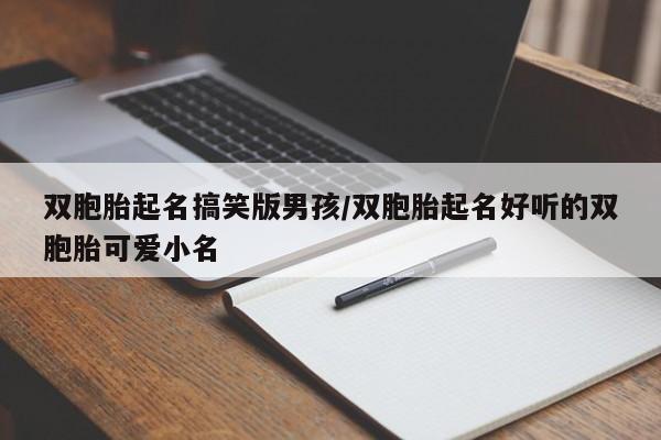 双胞胎起名搞笑版男孩/双胞胎起名好听的双胞胎可爱小名